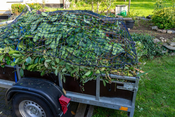 Best Hoarding Cleanup  in Lakes East, CT